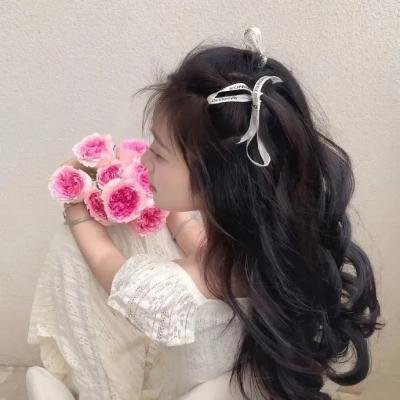 春光猎影