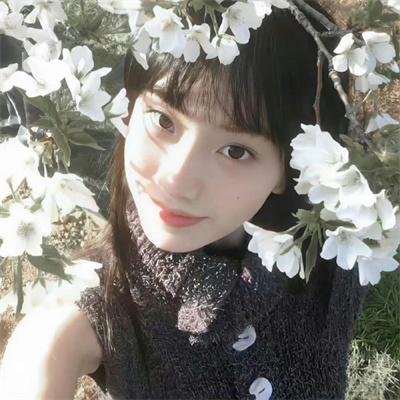 黄石第五季